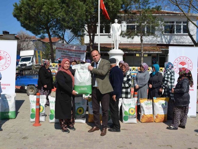 Yerli Hibrit Ayçiçeği Tohumu Dağıtıldı