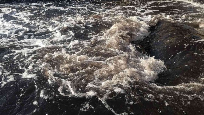 Ergene Nehri Siyah Akmaya Devam Ediyor