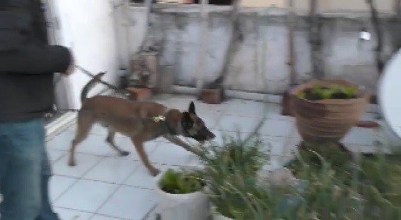 İ̇zmir Polisinde Torbacılara Şafak Operasyonu: 19 Gözaltı