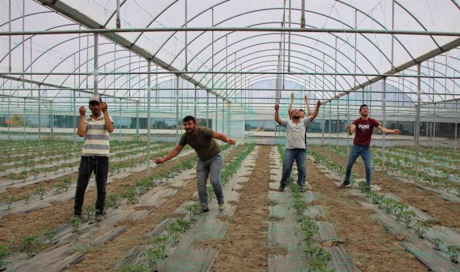 Amasya’da Kışın Çöken Seralarda Artık Yüzler Gülüyor: İ̇lk Fideler Dikildi