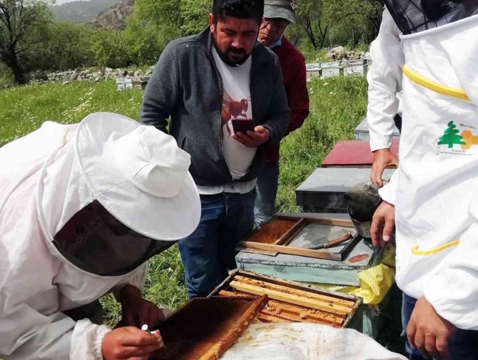 Arıcılara Apiterapik Ürün Eğitimi