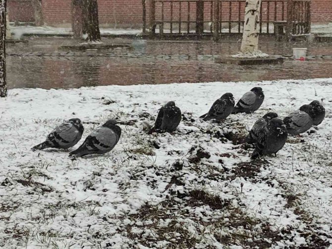 Ardahan Nisan Ayında Beyaza Büründü
