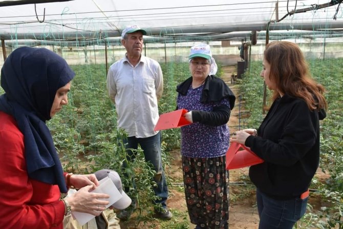 Aydın’da Biyoteknik Mücadele Çalışmaları Devam Ediyor