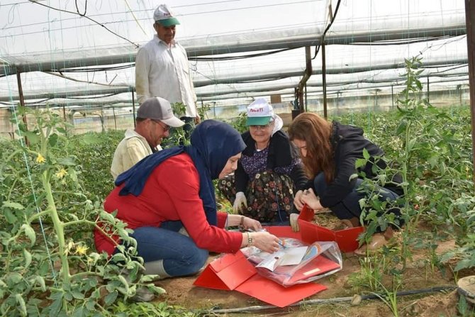 Aydın’da Biyoteknik Mücadele Çalışmaları Devam Ediyor