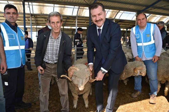 Balıkesir Büyükşehir’den Yerli Üreticiye Damızlık Koç Desteği