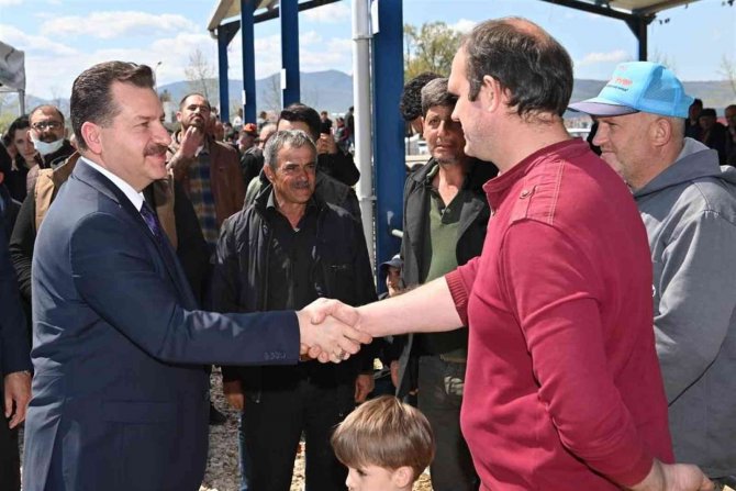 Balıkesir Büyükşehir’den Yerli Üreticiye Damızlık Koç Desteği