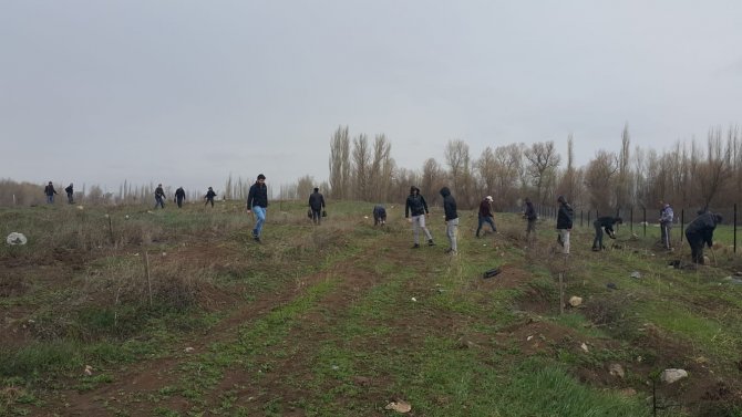 Köy Derneği 2 Bin Adet Fidan Dikti