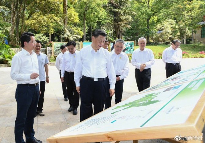 Çin Devlet Başkanı Jinping, Hainan Tropikal Yağmur Ormanları Ulusal Parkı’nı Ziyaret Etti