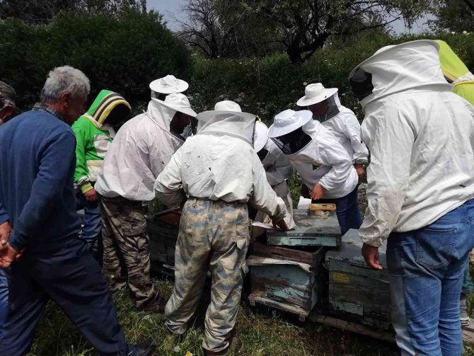 Arıcılara Apiterapik Ürün Eğitimi