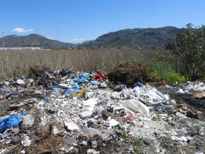 Hatay’da Kuşların Barınma Alanlarına Çöp Ve Moloz Dökülüyor