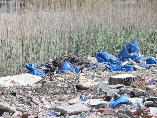 Hatay’da Kuşların Barınma Alanlarına Çöp Ve Moloz Dökülüyor