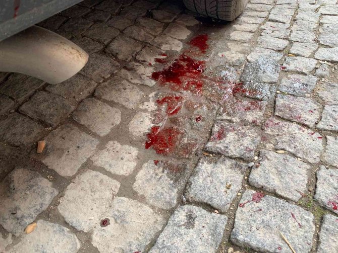 Eskişehir’de Taksinin Çarptığı Kedi Can Verdi