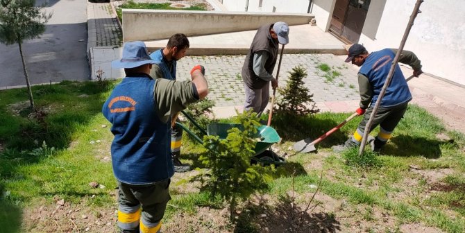 Keçiören’de Hummalı Yaz Hazırlığı