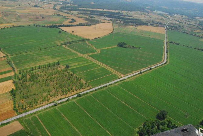 Kooperatif Ve Birliklere Yüzde 75 Hibe Desteği