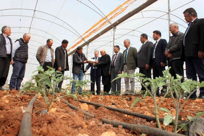 Domates Üreticilerine Feromon Tuzak Dağıtıldı