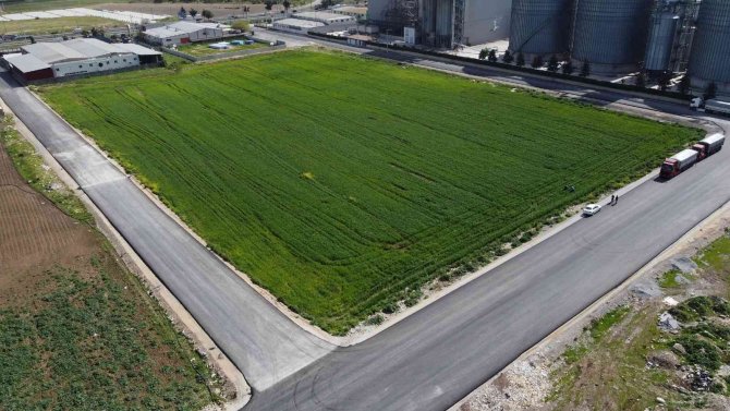 Tarsus’ta Belediye Arazilerinde Kunduru Buğdayı Yetiştiriliyor