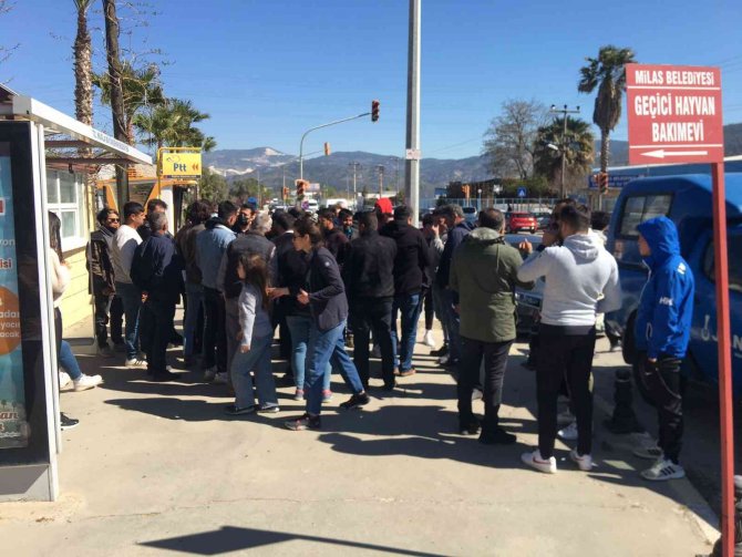 Milas’ta Telefon Dolandırıcılığı