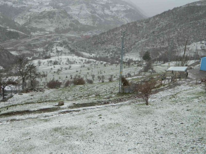 Posof Yine Beyaza Büründü