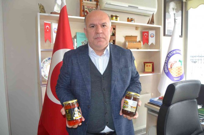 Ordu’da Arı Ölümleri Arttı