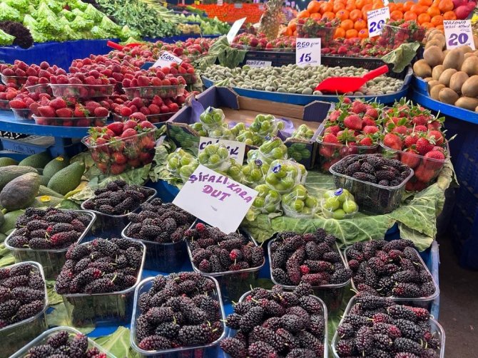 Yaz Meyvelerinde Bolluk Ve Ucuzluk Bekleniyor