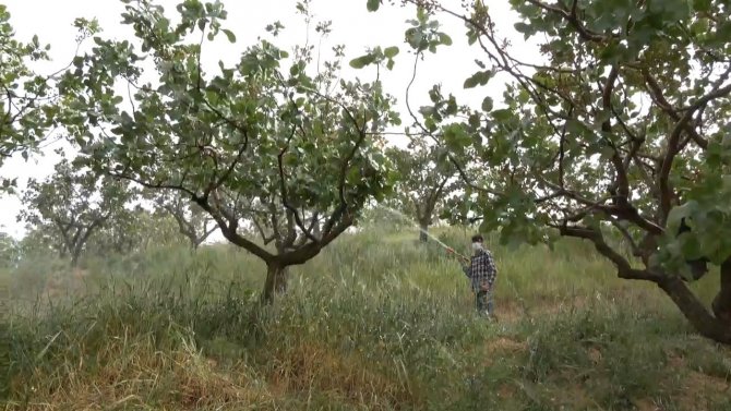 İ̇ran Ve Asya Ülkelerinden Getirilen Zirai İlaçlara Dikkat