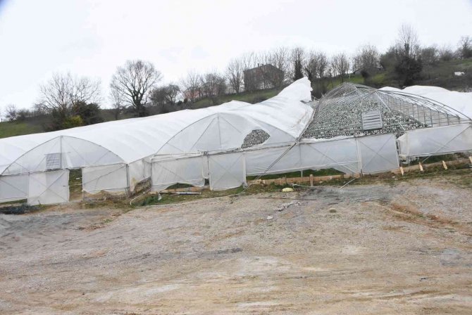 Sinop’ta Şiddetli Fırtınada Çilek Serası Yıkıldı