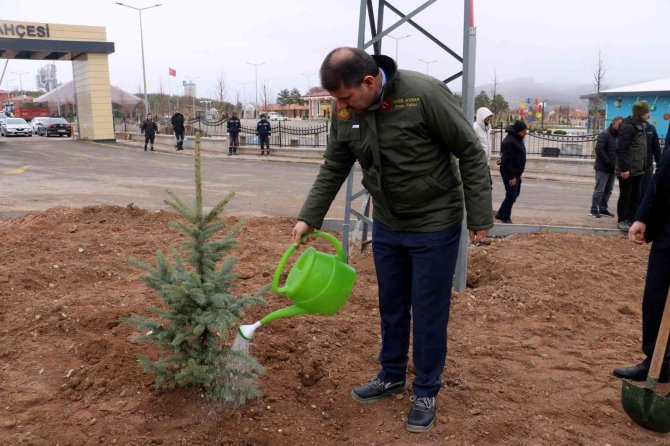 Hamidiye 350 Fidanla Taçlandı