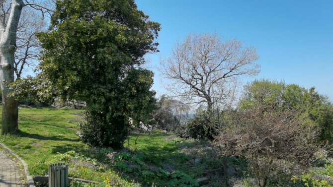 21 Yaşındaki Kız Ormanlık Alanda Ölü Bulundu