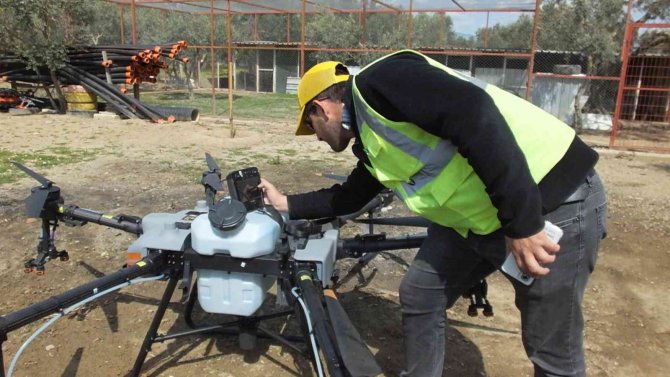 Balıkesir’de Zeytin İlaçlamasında Dron Kullanılmaya Başlandı