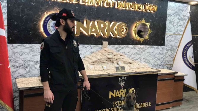 İ̇stanbul’da Yüzbinlerce Uyuşturucu Hap Ele Geçirildi