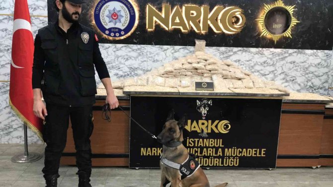 İ̇stanbul’da Yüzbinlerce Uyuşturucu Hap Ele Geçirildi