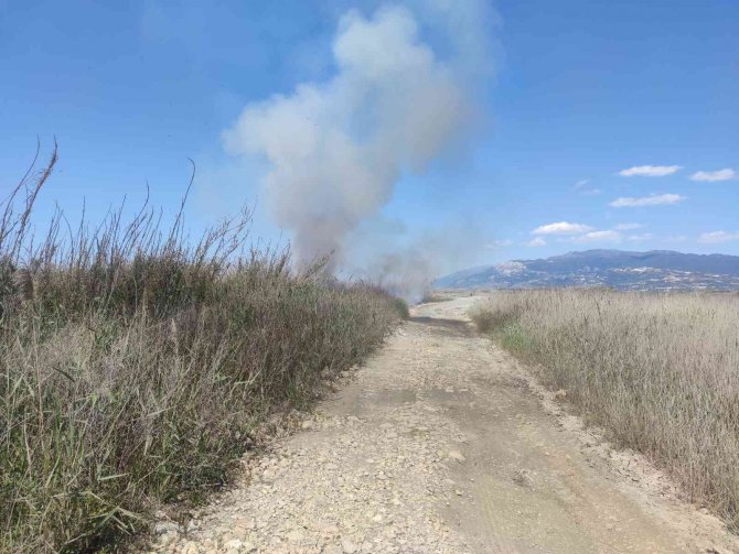 Hatay’da Sazlık Alanda Yangın
