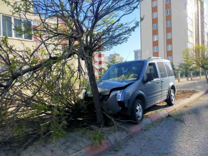 Araç Çarptığı Ağacı Yerinden Söktü