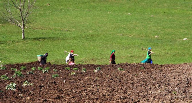 Şartlar Çok Zor Olsa Da Onlar Çalışmadan Duramıyor