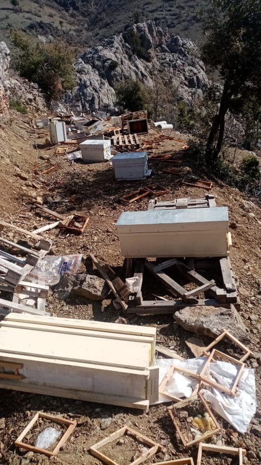 Karaman’da Ayılar Arı Kovanlarını Parçaladı