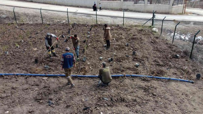 Keçiören’in Yeni Üretim Noktası, Üzümsü Meyveler Bağı