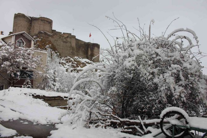 Erzurum’da Çiçek Açan Meyve Ağaçları Kar Altında Kaldı