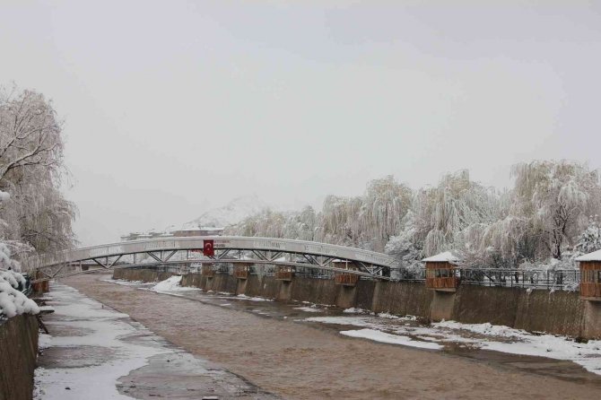 Erzurum’da Çiçek Açan Meyve Ağaçları Kar Altında Kaldı