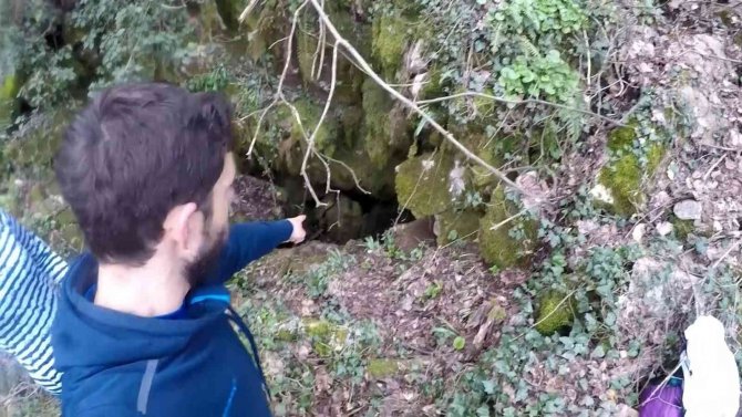 Ayı İle Burun Buruna Gelecekken Aldıkları Kararla Ölümden Döndüler