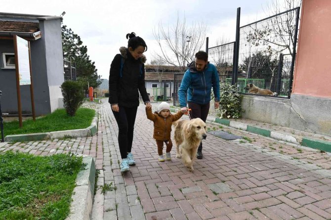 Osmangazi’de 78 Can Dost Sıcak Yuvaya Kavuşturuldu