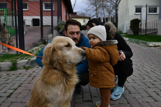Osmangazi’de 78 Can Dost Sıcak Yuvaya Kavuşturuldu