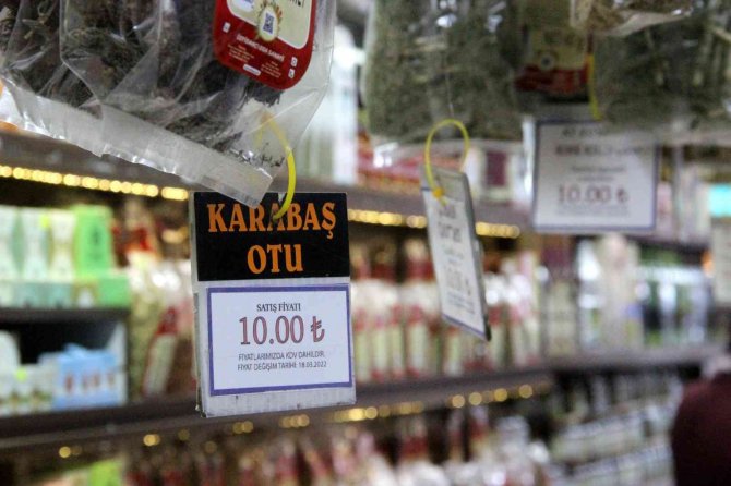 Bu Ot, Oruçta Zorlanan Sigara Tiryakilerinin İşini Kolaylaştırıyor