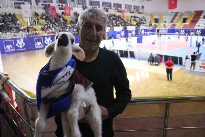 Final Maçını Kuzusuyla Birlikte İzledi