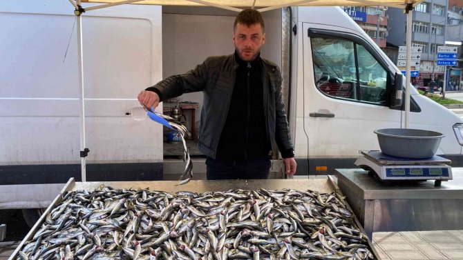 Zonguldak’ta Balıkçılar Teselliyi İstavritte Buldu
