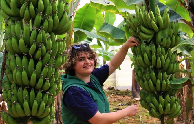 Bir Dönem Lükstü, Şimdi Enflasyona Direnen Meyve Oldu