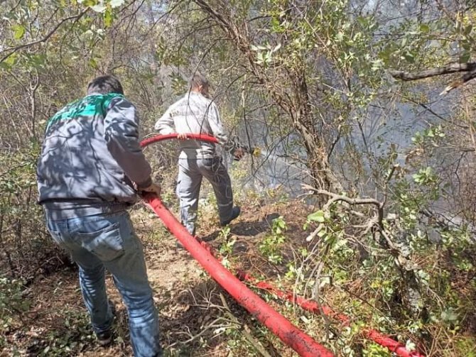 Antalya’da Orman Yangını Büyümeden Söndürüldü
