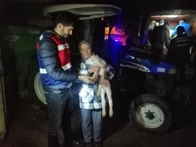 Balya’dan Çalınan Koyunlar Kepsut’ta Ele Geçirildi