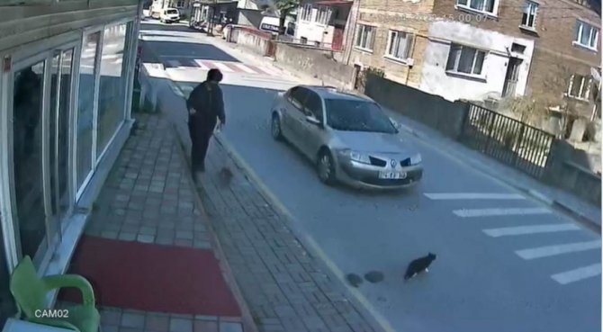 Sokak Kedisine Çarpıp Kaçan Sürücüye 2 Bin Tl Ceza
