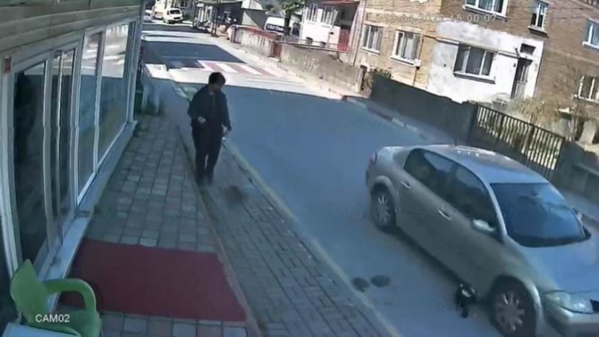 Sokak Kedisine Çarpıp Kaçan Sürücüye 2 Bin Tl Ceza