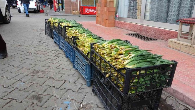 Şifa Kaynağı ’Çiriş’ Otu Tezgahlardaki Yerini Aldı
